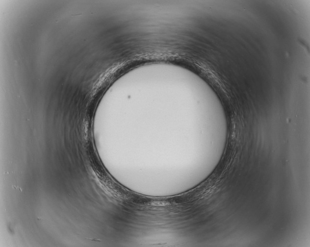 X0000102780636200808180932
