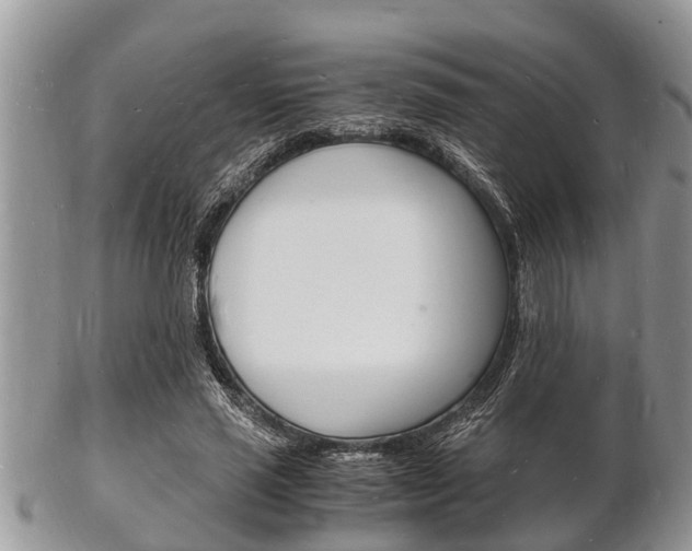 X0000102780637200808180932