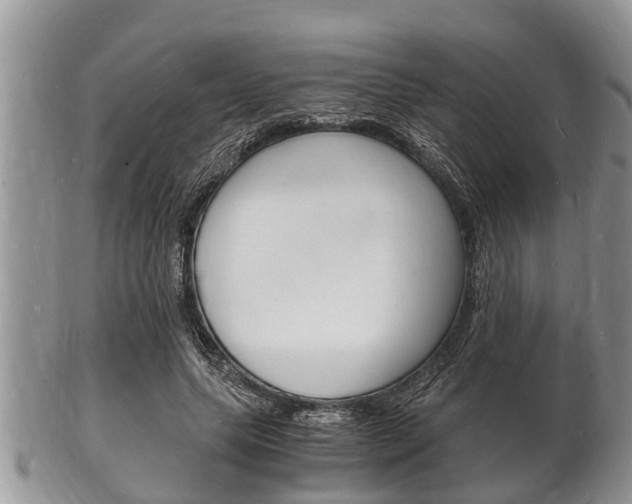 X0000102780639200808180932