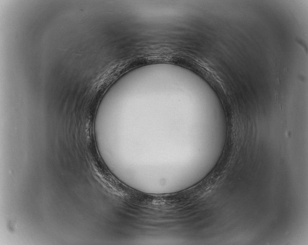 X0000102780641200808180932