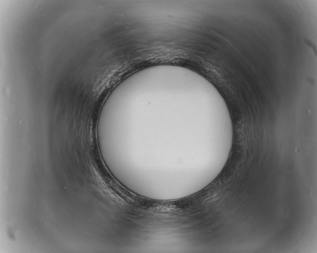 X0000102780642200808180932