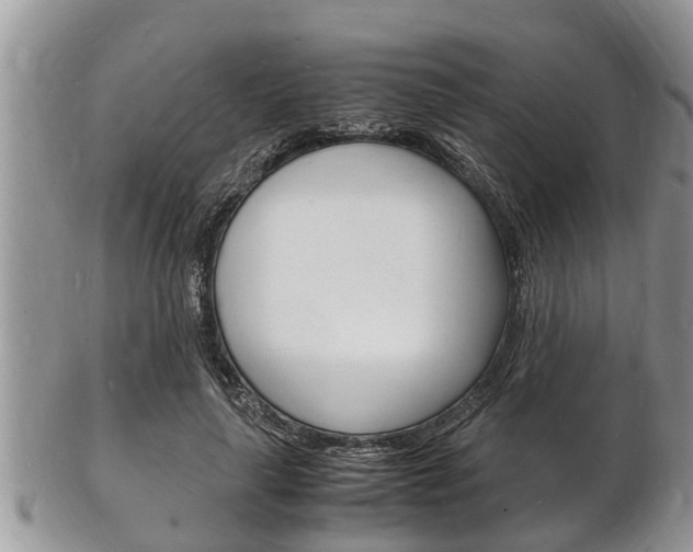 X0000102780643200808180932