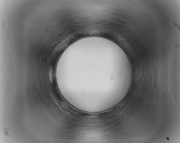 X0000102780644200808180932