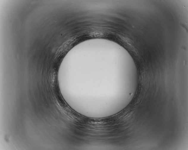 X0000102780645200808180932