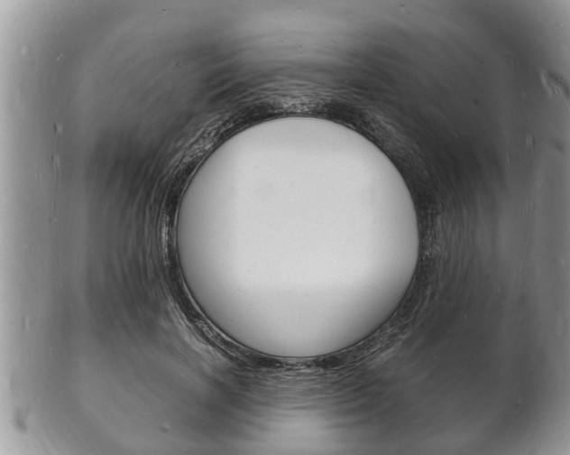 X0000102780646200808180932