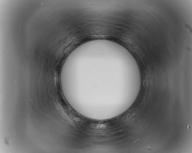 X0000102780647200808180932