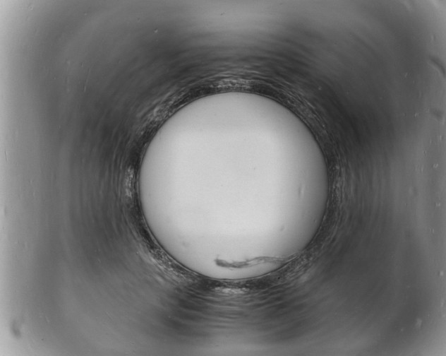 X0000102780649200808180932