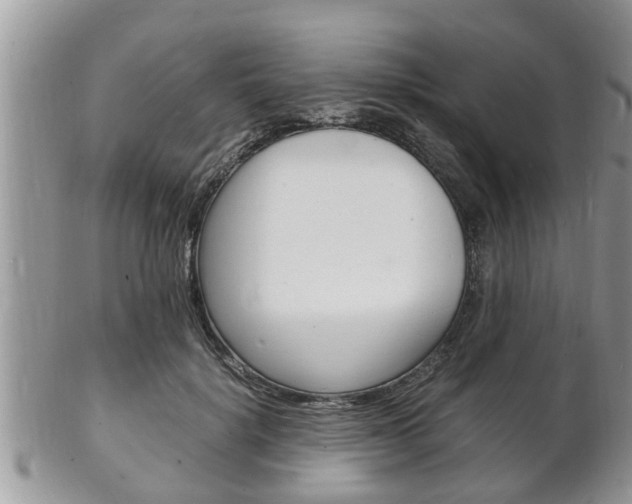 X0000102780652200808180932