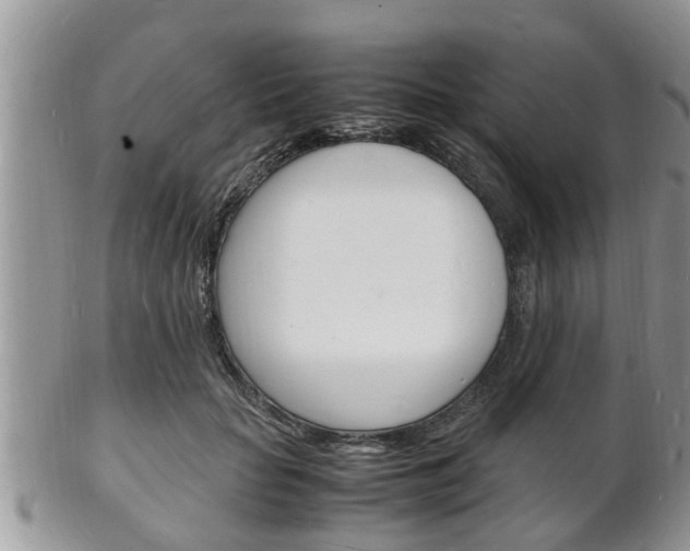 X0000102780653200808180932