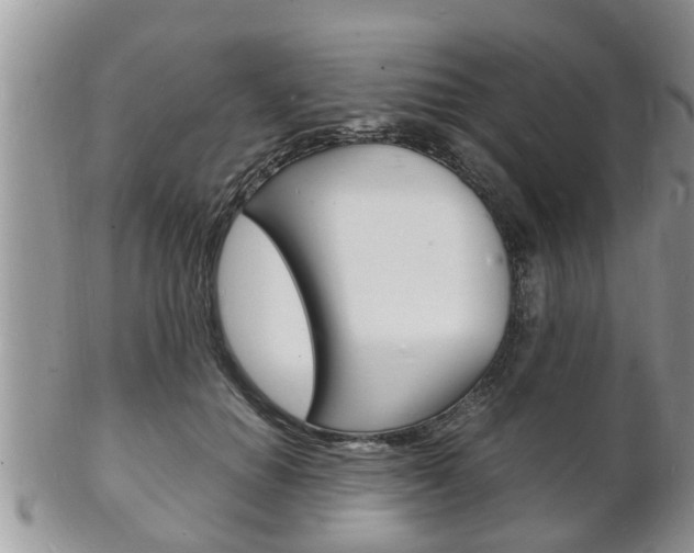 X0000102780654200808180932