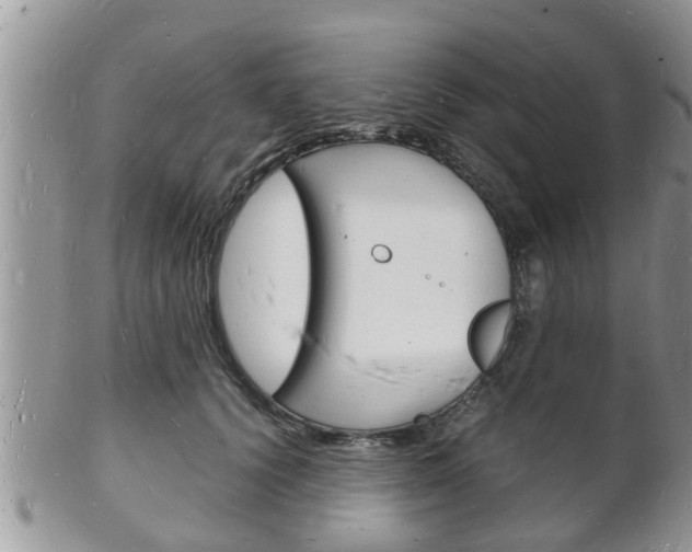 X0000102780656200808180932