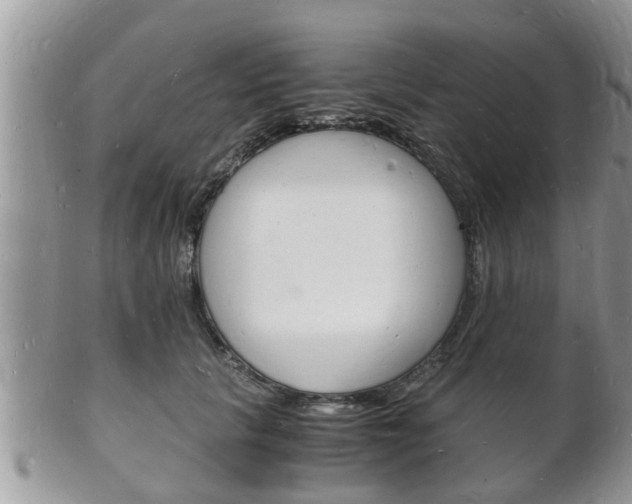 X0000102780657200808180932