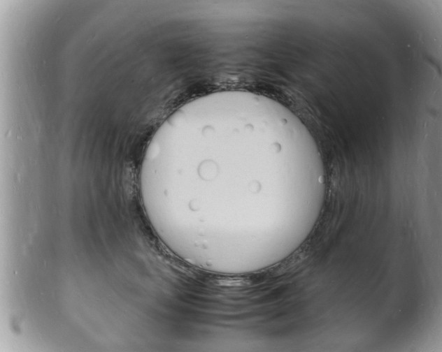 X0000102780659200808180932