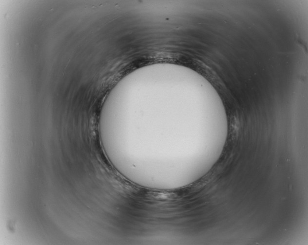 X0000102780663200808180932
