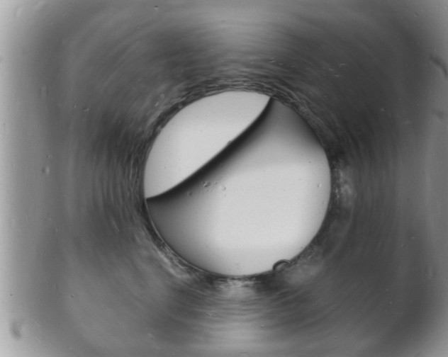X0000102780664200808180932