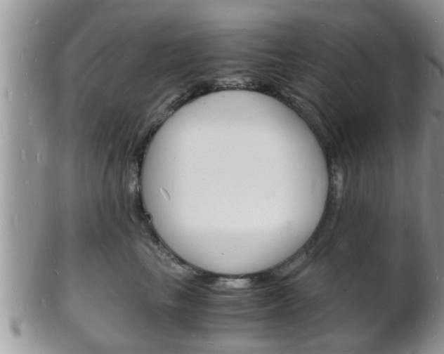 X0000102780665200808180932