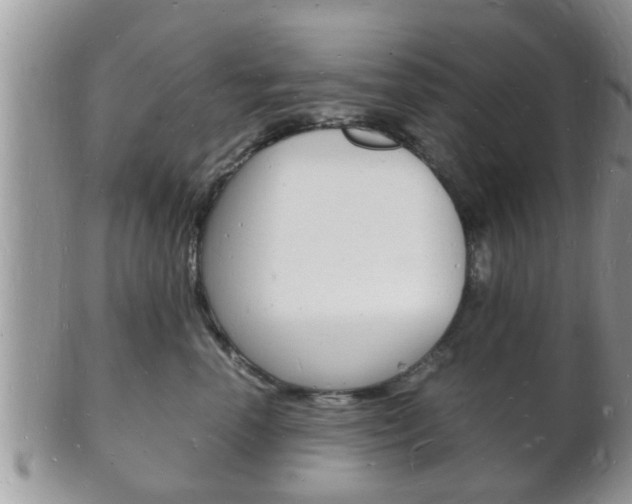 X0000102780666200808180932