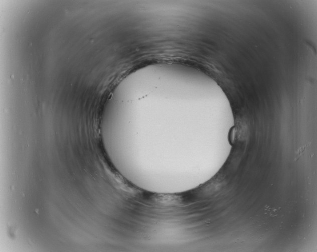 X0000102780670200808180932