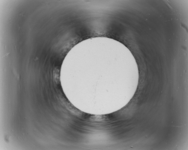 X0000102780672200808180932