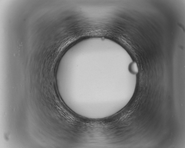X0000102780673200808180932