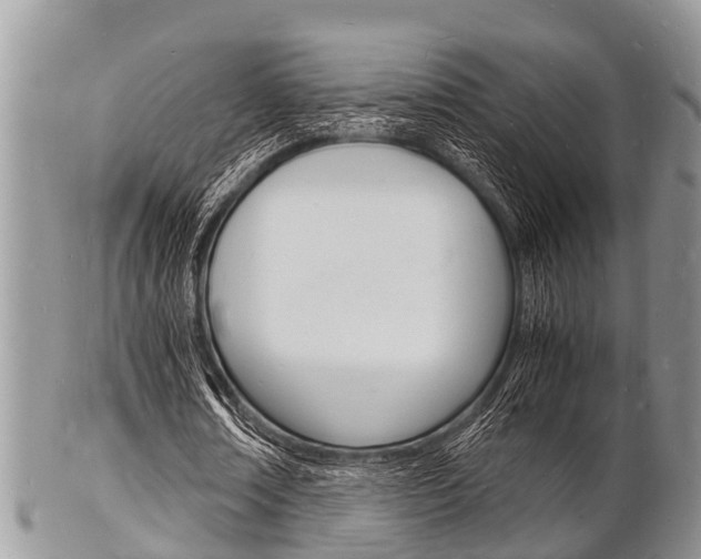 X0000102780674200808180932