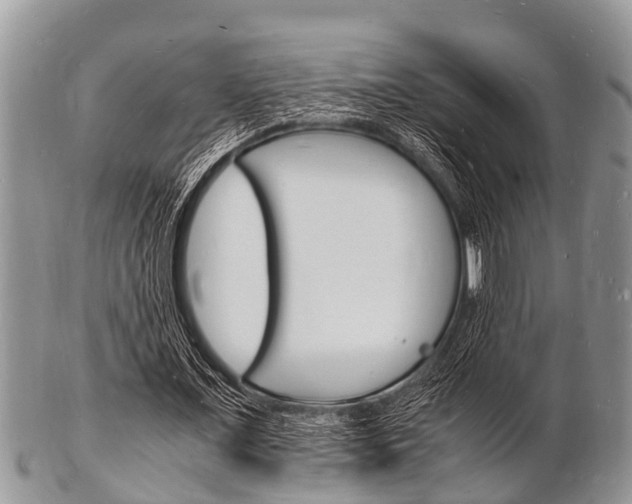 X0000102780675200808180932