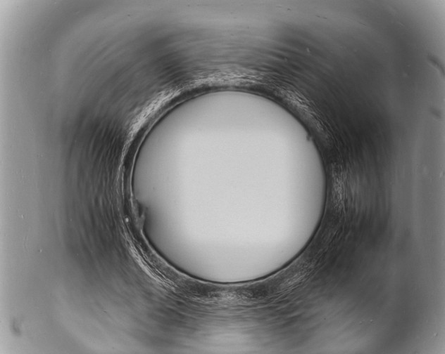 X0000102780678200808180932