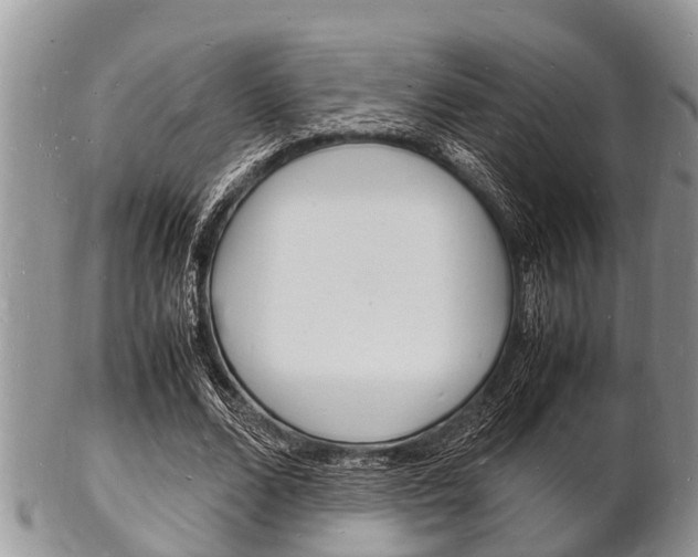 X0000102780680200808180932