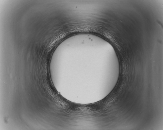 X0000102780681200808180932