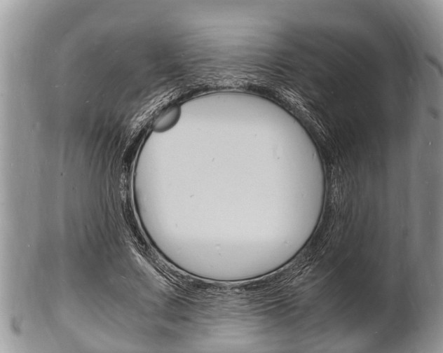 X0000102780683200808180932