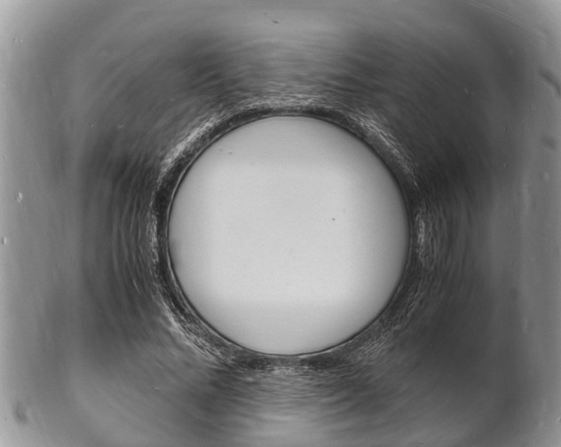 X0000102780684200808180932