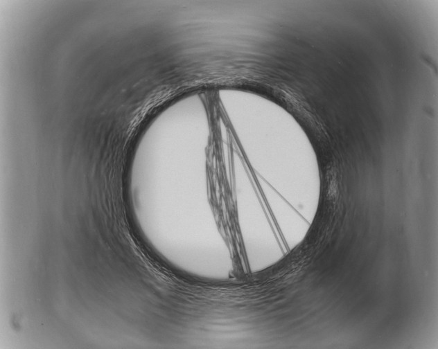 X0000102780685200808180931