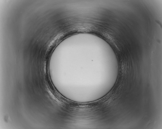 X0000102780686200808180931