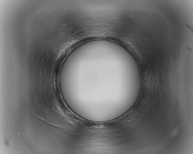 X0000102780688200808180931