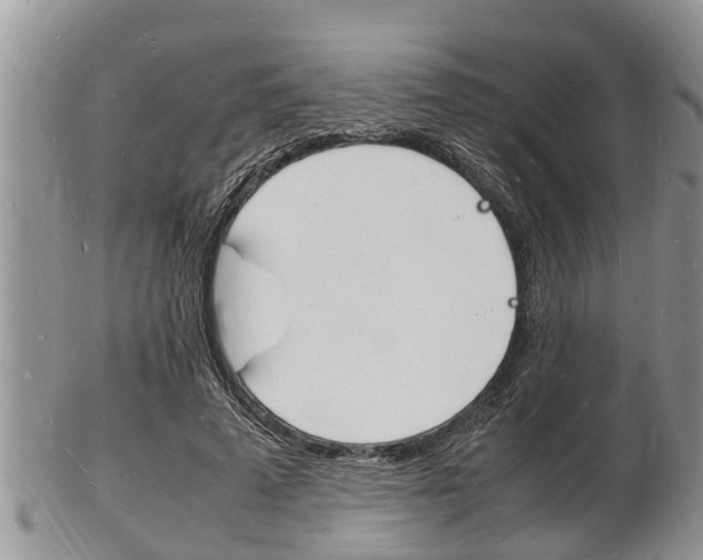 X0000102780689200808180931