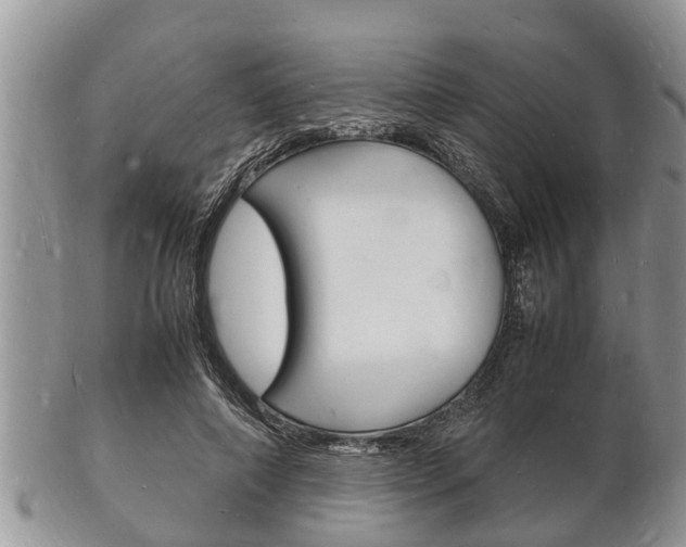 X0000102780690200808180931