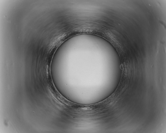 X0000102780692200808180931