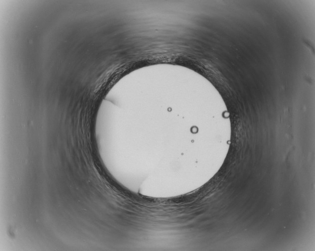 X0000102780693200808180931