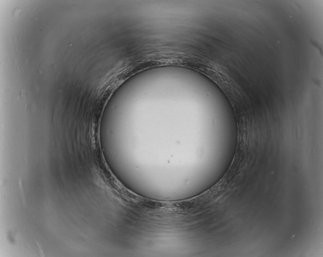 X0000102780696200808180931