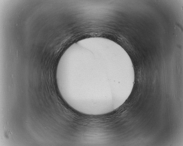 X0000102780697200808180931