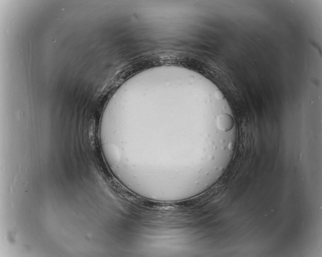 X0000102780698200808180931