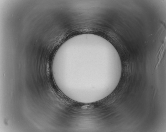 X0000102780700200808180931