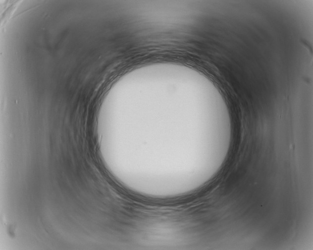 X0000102780701200808180931