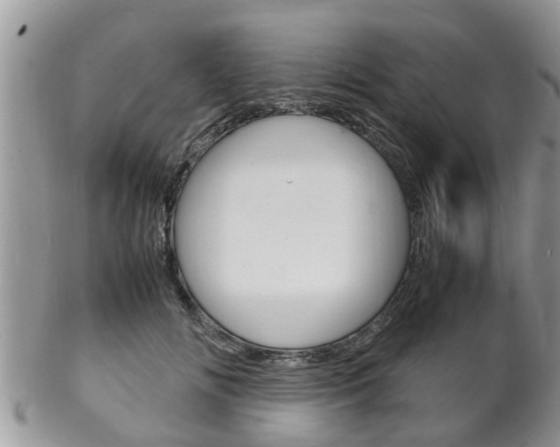 X0000102780702200808180931