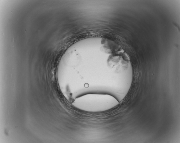 X0000102780703200808180931