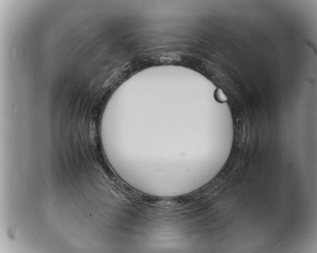 X0000102780704200808180931