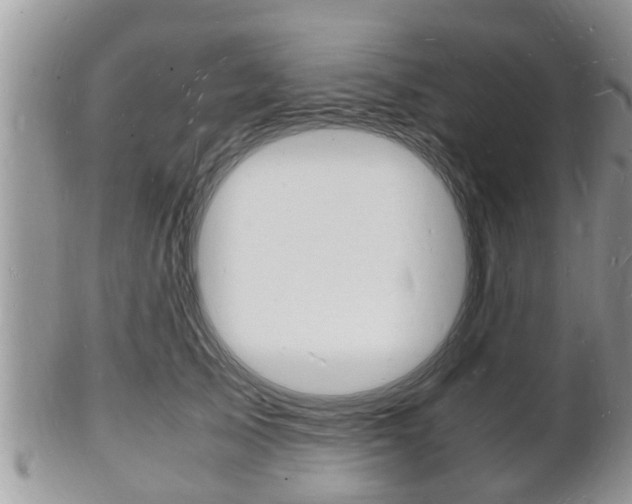 X0000102780705200808180931