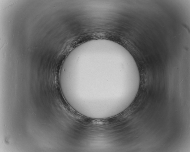 X0000102780706200808180931