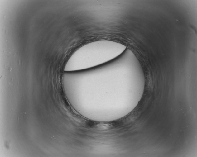 X0000102780711200808180931