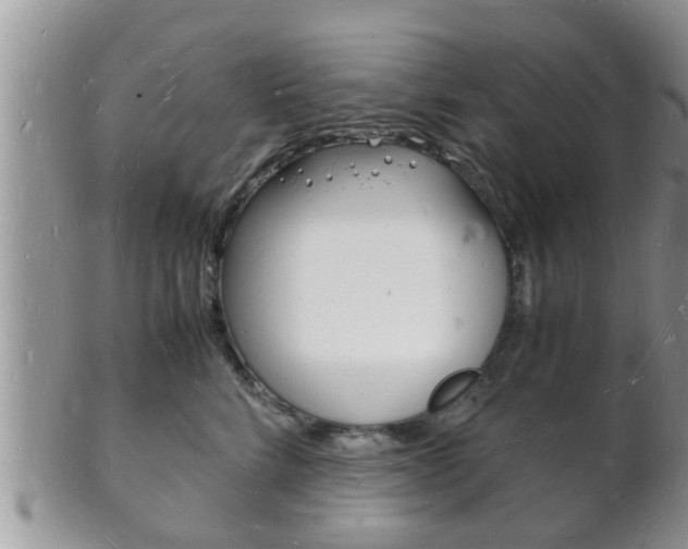 X0000102780712200808180931